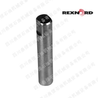 Rexnord{(dio)U10309104